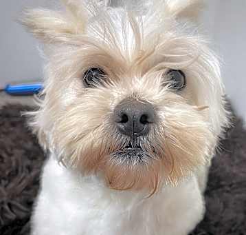 Photo of Sandy