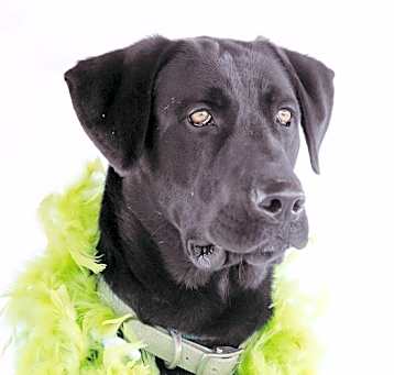 Photo of MM Aransas