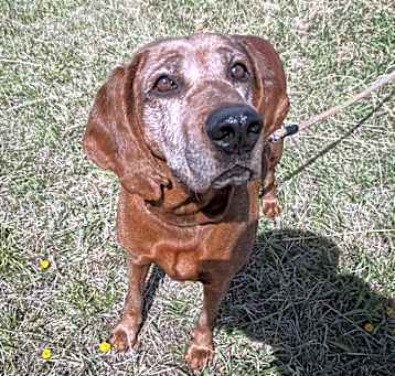 Photo of Annie