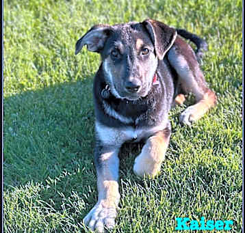 Photo of Kaiser