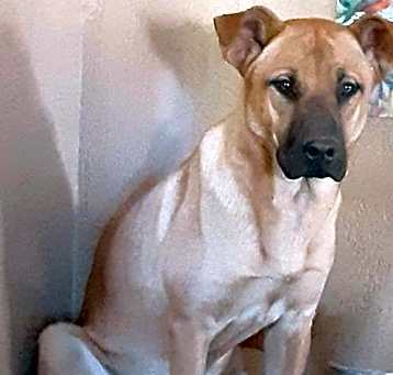 Photo of Lexi