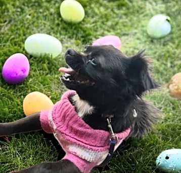 Photo of Negrita - So cute:)