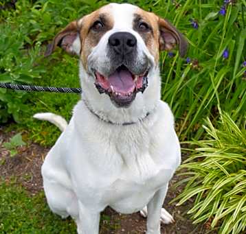 Photo of Ruby *Sponsored Adoption