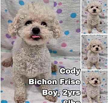 Photo of Cody from Korea