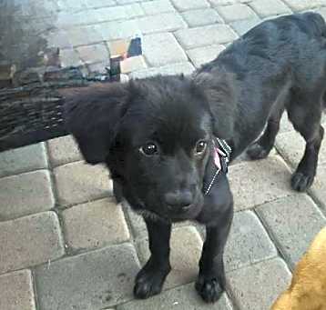 Photo of Missy