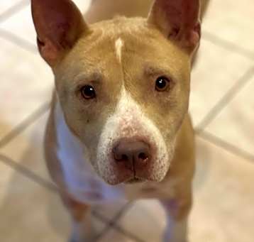 Photo of Total sweetheart!!!!