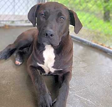Photo of Knox