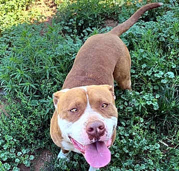 Photo of Duke