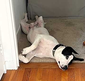 Photo of Benny