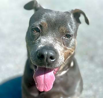 Photo of Sandra-FEE FULLY SPONSORED!