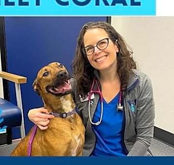 Photo of Coral
