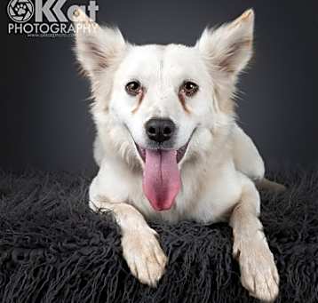 Photo of Marlee