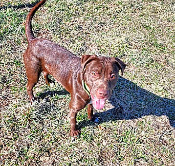 Photo of Sugar