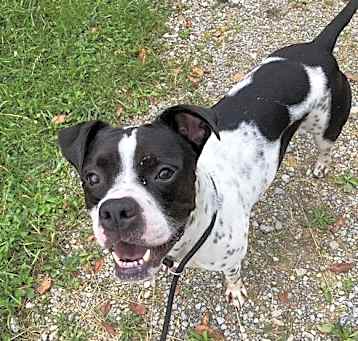 Photo of Rocko