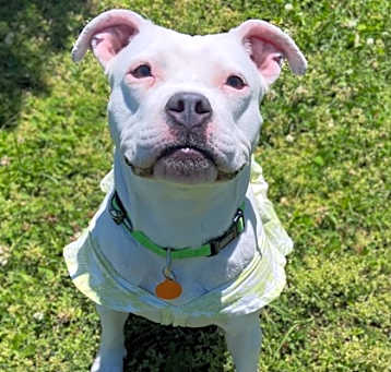 Photo of Baby Doll