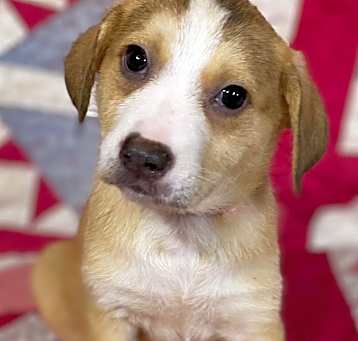 Photo of Charlie