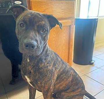 Photo of SAMPSON