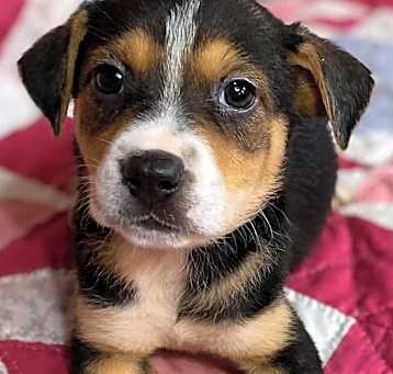 Photo of Lyla