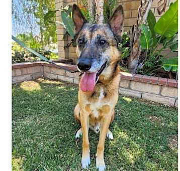 Photo of Cuervo