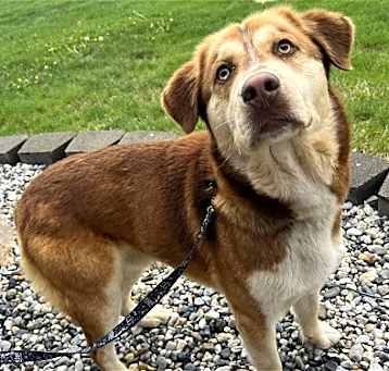 Photo of Barrett aka Bear