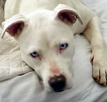 Photo of Winnie