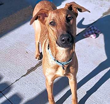 Photo of Tala
