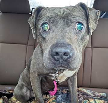 Photo of Blue
