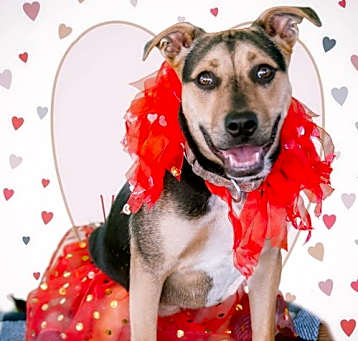 Photo of Valentina