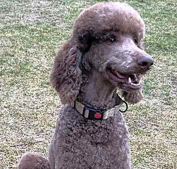 Photo of Hubert