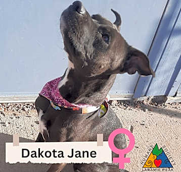 Photo of Dakota Jane