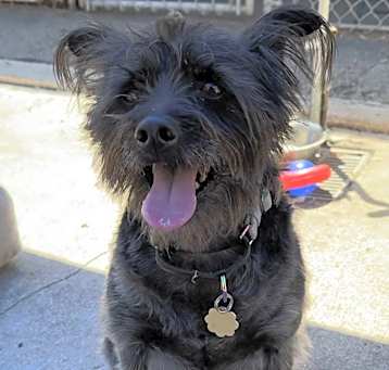 Photo of Abby