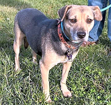 Photo of Patsy Puggle