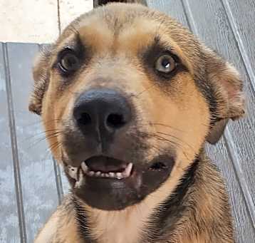 Photo of Sammy