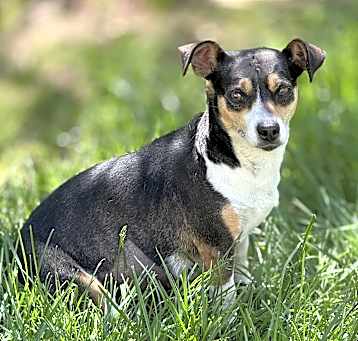 Photo of Millie