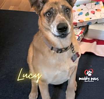 Photo of Lucy