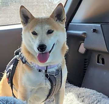 Photo of Kita