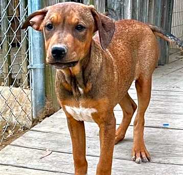 Photo of Starla