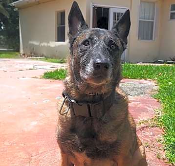 Photo of Kiara