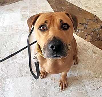 Photo of Macho