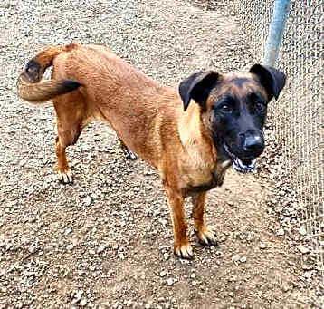 Photo of Roxie
