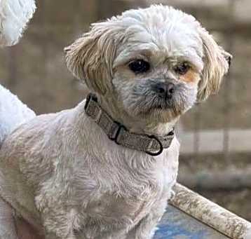 Photo of Rexie