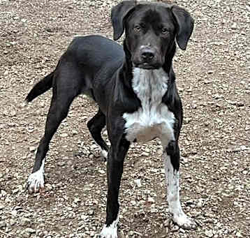 Photo of Kobe