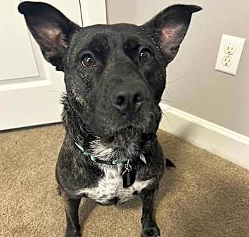 Photo of Lily