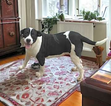 Photo of Isabel