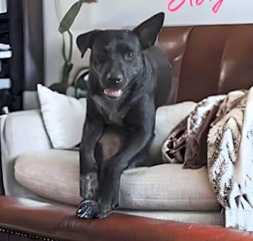 Photo of Abbie Gail