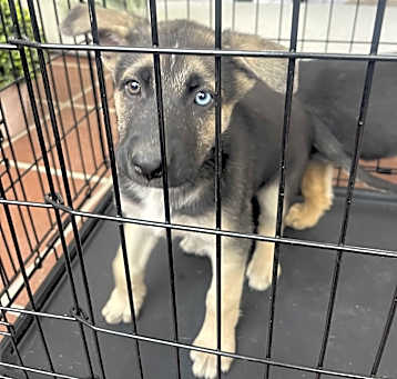 Photo of Maka
