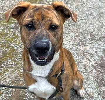 Photo of Regan Barkville