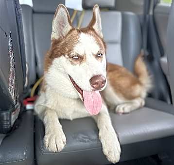 Photo of Dimitri