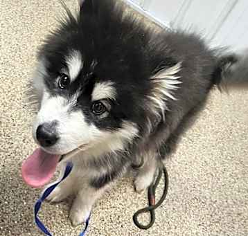Photo of Jethro