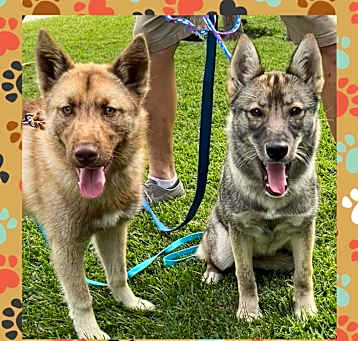 Photo of Jack & Jill